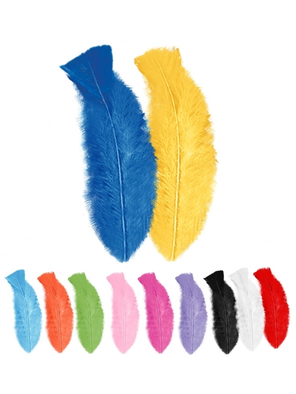 WIDMANN 50 Plumes Env 10 Cm - 12 Couleurs Au Choix 1 WIDMANN 50 Plumes Env 10 Cm - 12 Couleurs Au Choix