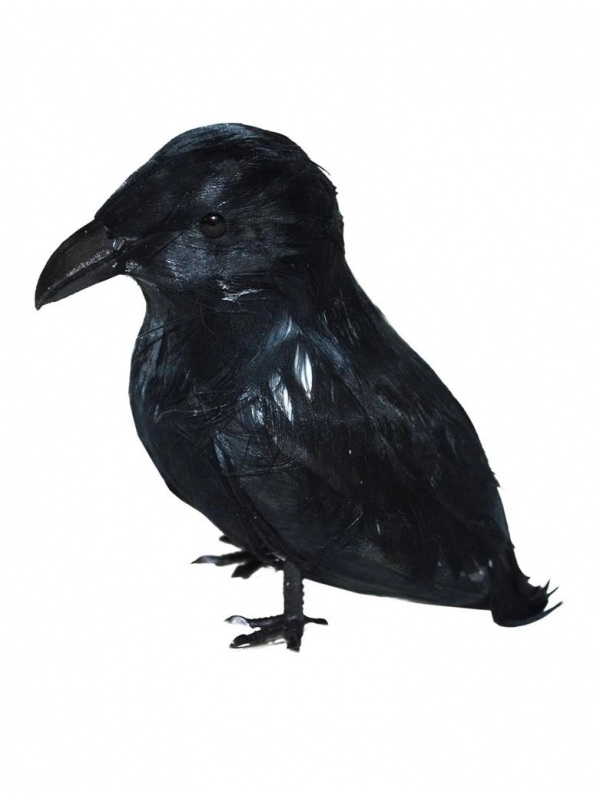 ESPA - Funny Fashion Corbeau Noir Avec Plumes - 9 Cm 1 ESPA - Funny Fashion Corbeau Noir Avec Plumes - 9 Cm
