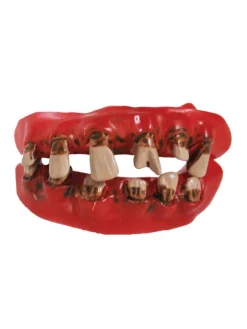 Dents De Pirate Abimées Pour Adulte